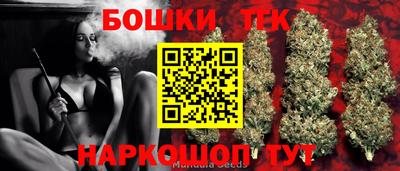 прущие крисы Кингисепп