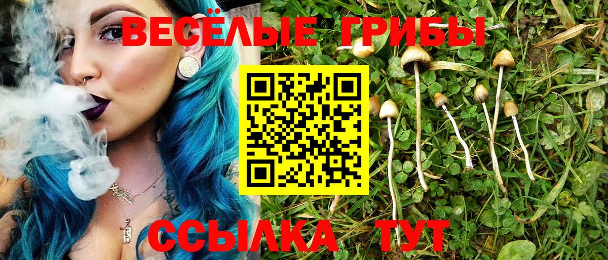 Галлюциногенные грибы Psilocybine cubensis Лабытнанги
